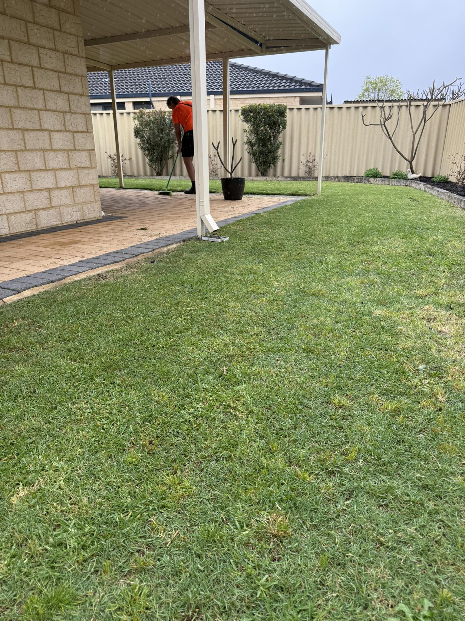 558973481_122097378453057387_6967176401903708543_n